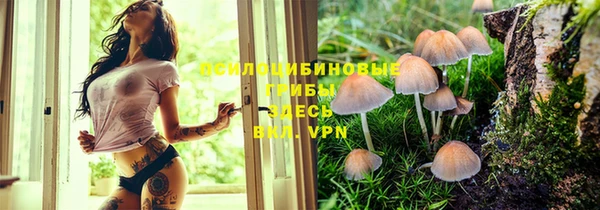 первитин Медвежьегорск