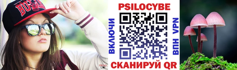 купить наркотик  Новомосковск  Галлюциногенные грибы Psilocybe 