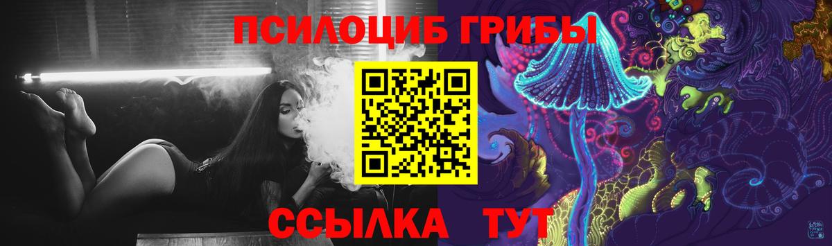 Псилоцибиновые грибы Psilocybe  Вход с VPN  Новомосковск 