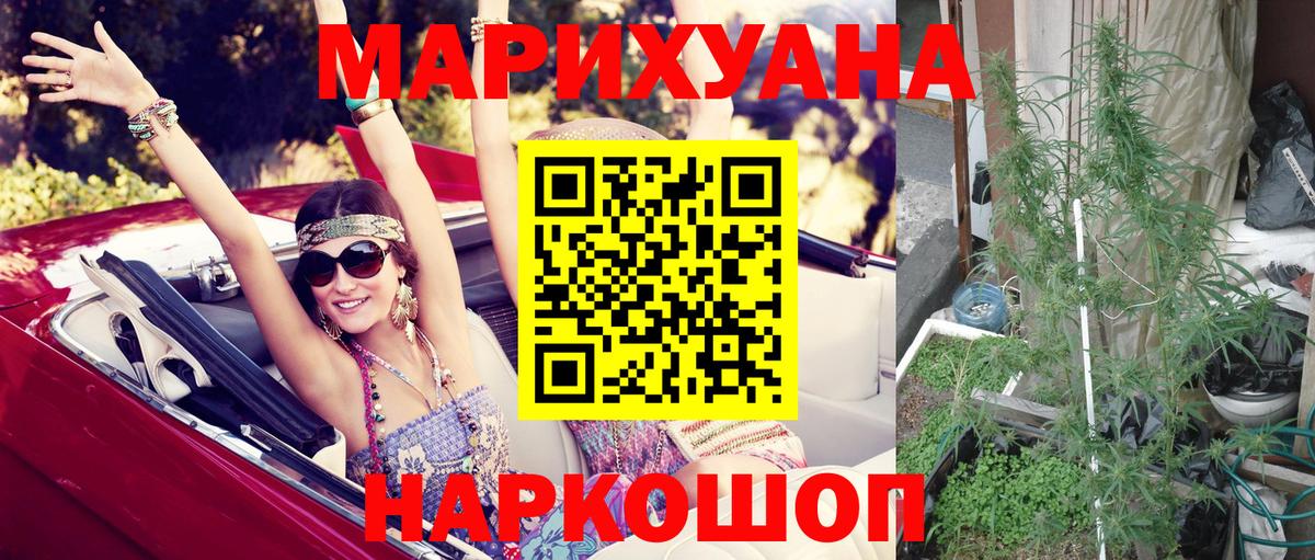 Бошки марихуана Bruce Banner  Бошки Шишки THC 21%  Новомосковск  Бошки Шишки Bruce Banner  Канабис гибрид 